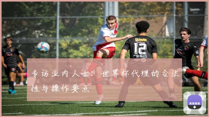 专访业内人士:世界杯代理的合法性与操作要点