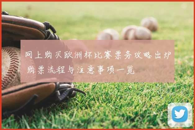 网上购买欧洲杯比赛票务攻略出炉 购票流程与注意事项一览