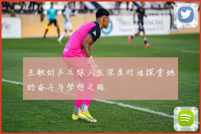 王敏的乒乓球人生深度对话探索她的奋斗与梦想之路