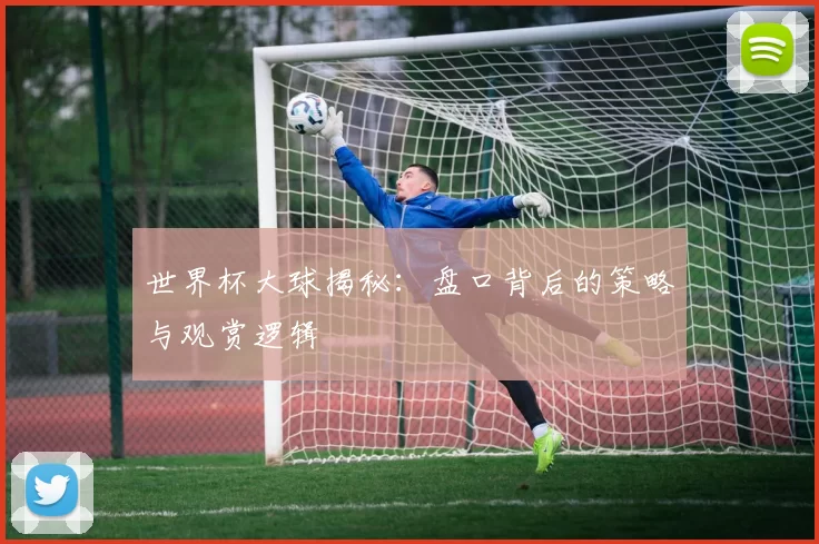 世界杯大球揭秘:盘口背后的策略与观赏逻辑