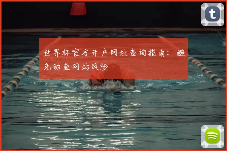世界杯官方开户网址查询指南:避免钓鱼网站风险