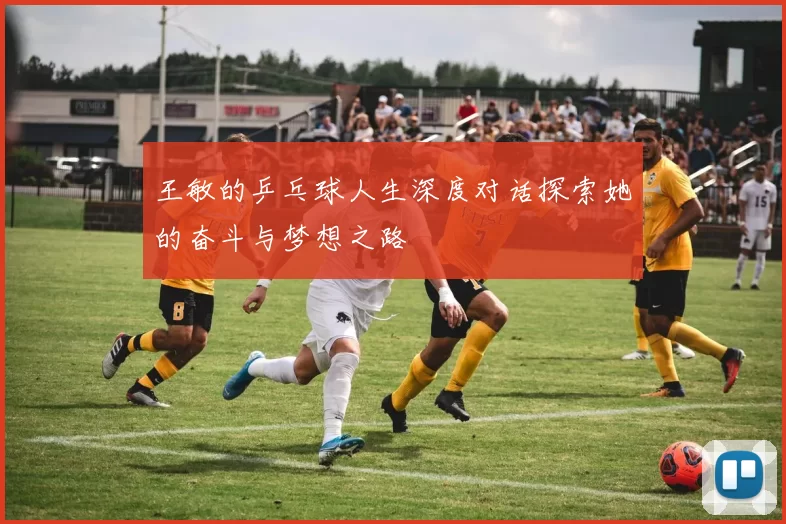 王敏的乒乓球人生深度对话探索她的奋斗与梦想之路