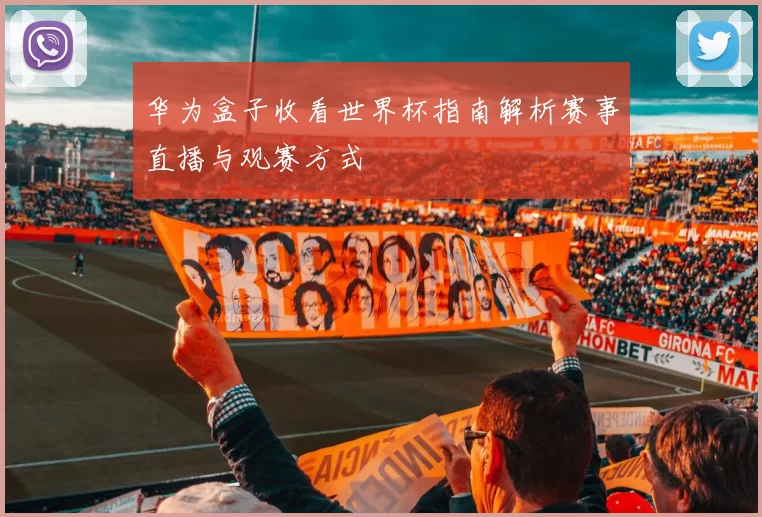 华为盒子收看世界杯指南解析赛事直播与观赛方式