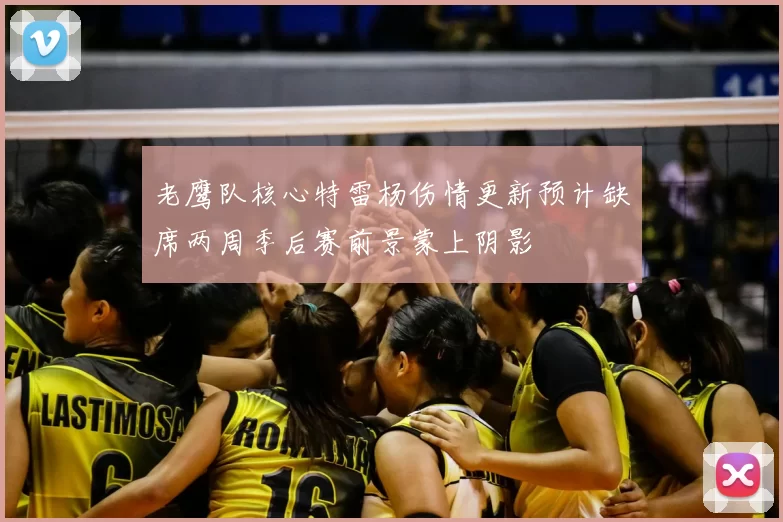 老鹰队核心特雷杨伤情更新预计缺席两周季后赛前景蒙上阴影
