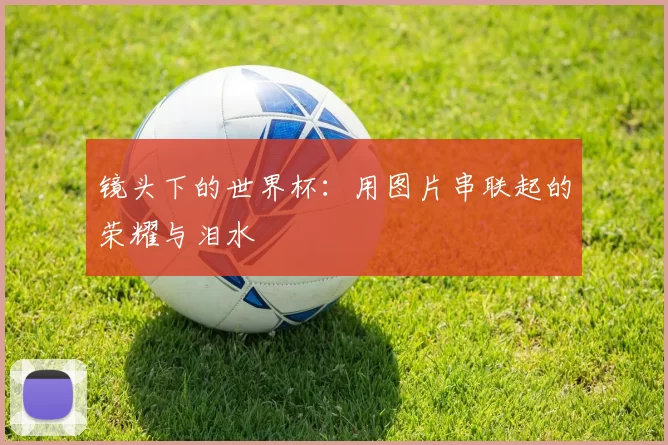 镜头下的世界杯：用图片串联起的荣耀与泪水