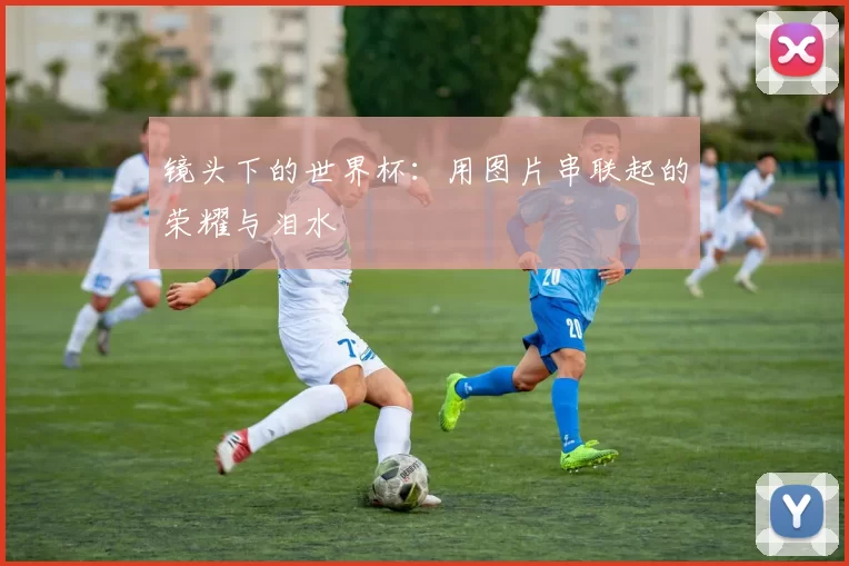 镜头下的世界杯:用图片串联起的荣耀与泪水