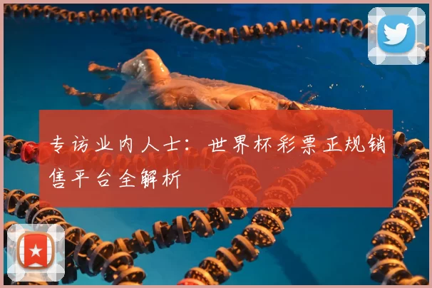 专访业内人士:世界杯彩票正规销售平台全解析