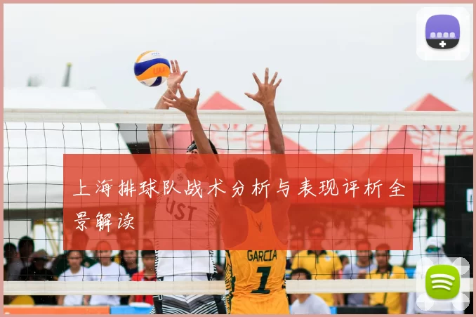 上海排球队战术分析与表现评析全景解读