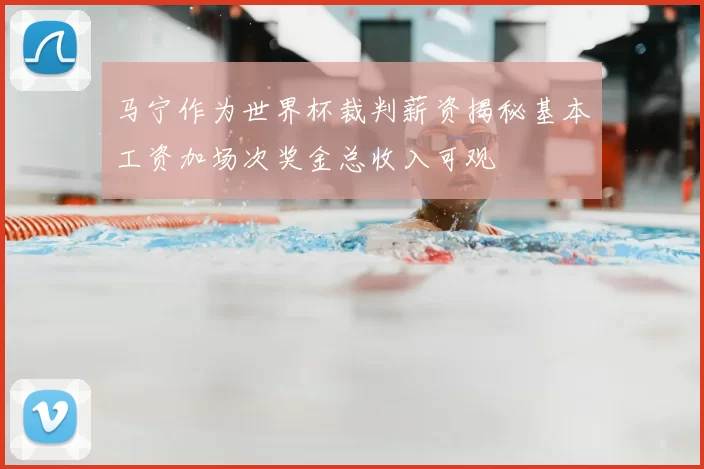 马宁作为世界杯裁判薪资揭秘基本工资加场次奖金总收入可观