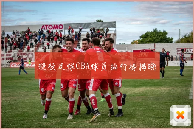 现役足球CBA球员排行榜揭晓