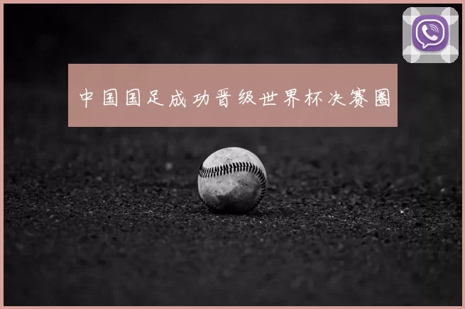中国国足成功晋级世界杯决赛圈