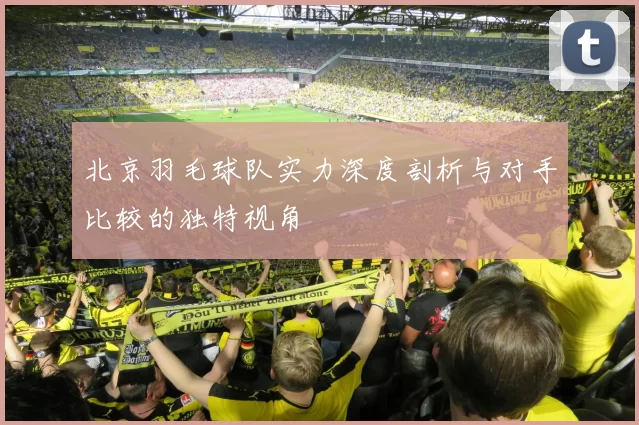北京羽毛球队实力深度剖析与对手比较的独特视角