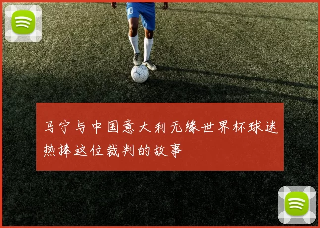 马宁与中国意大利无缘世界杯球迷热捧这位裁判的故事