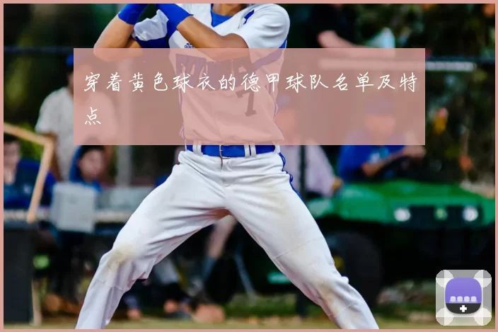 穿着黄色球衣的德甲球队名单及特点