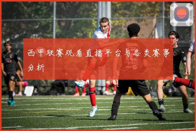 西甲联赛观看直播平台与各类赛事分析