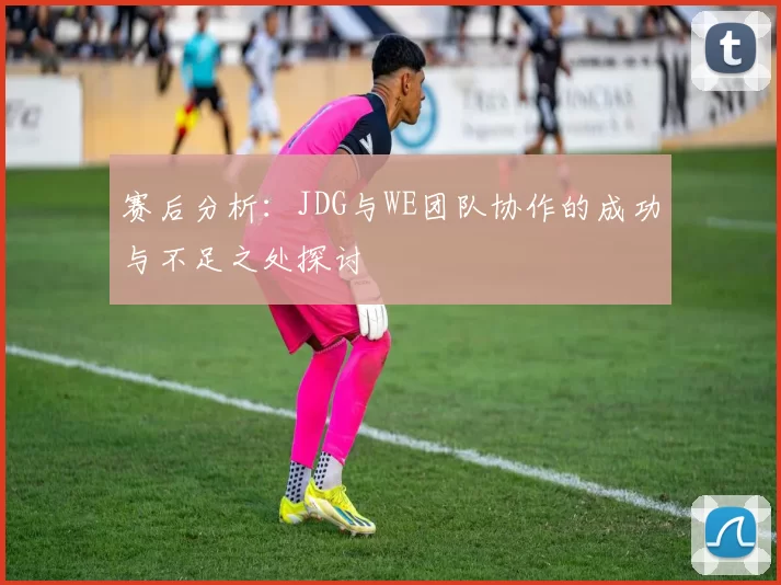 赛后分析：JDG与WE团队协作的成功与不足之处探讨