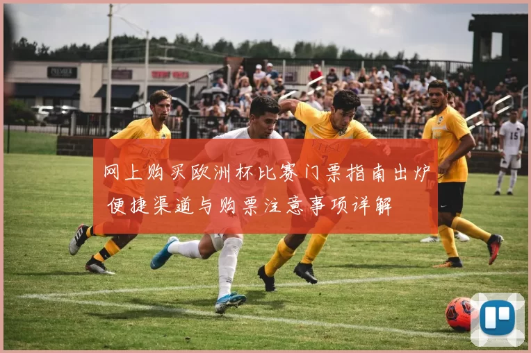 网上购买欧洲杯比赛门票指南出炉 便捷渠道与购票注意事项详解