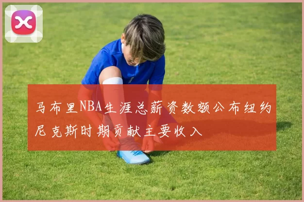 马布里NBA生涯总薪资数额公布纽约尼克斯时期贡献主要收入