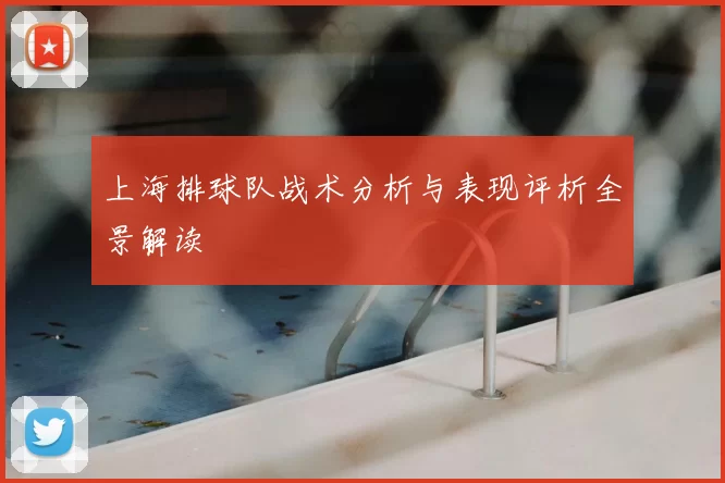上海排球队战术分析与表现评析全景解读