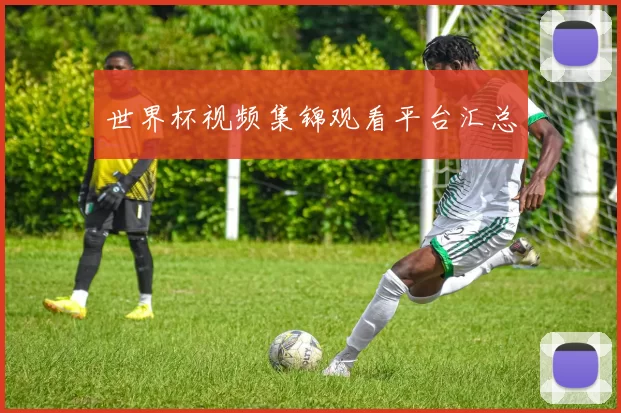 世界杯视频集锦观看平台汇总