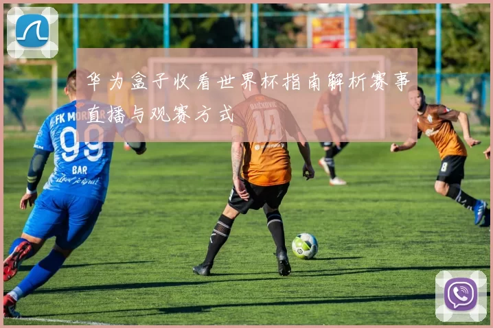 华为盒子收看世界杯指南解析赛事直播与观赛方式