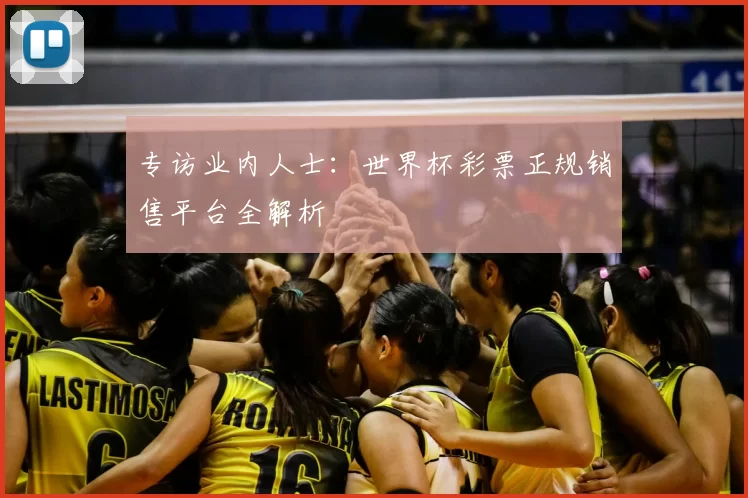 专访业内人士：世界杯彩票正规销售平台全解析