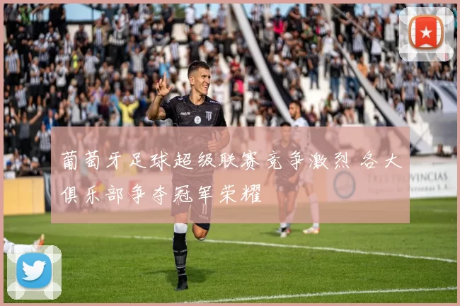 葡萄牙足球超级联赛竞争激烈 各大俱乐部争夺冠军荣耀