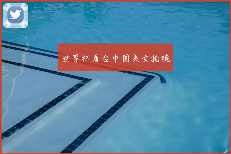 世界杯看台中国美女抢镜