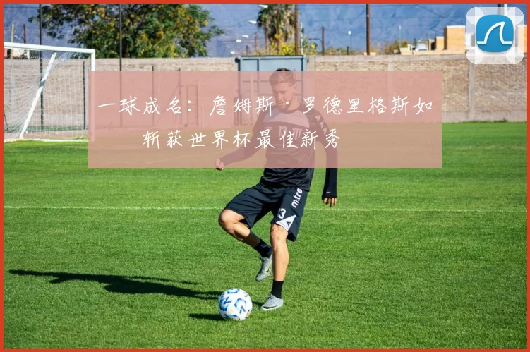一球成名：詹姆斯·罗德里格斯如何斩获世界杯最佳新秀